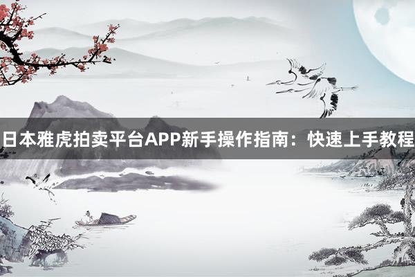 日本雅虎拍卖平台APP新手操作指南：快速上手教程